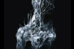 Indifferent, de Soen