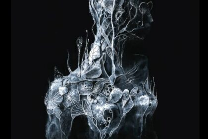 Indifferent, de Soen