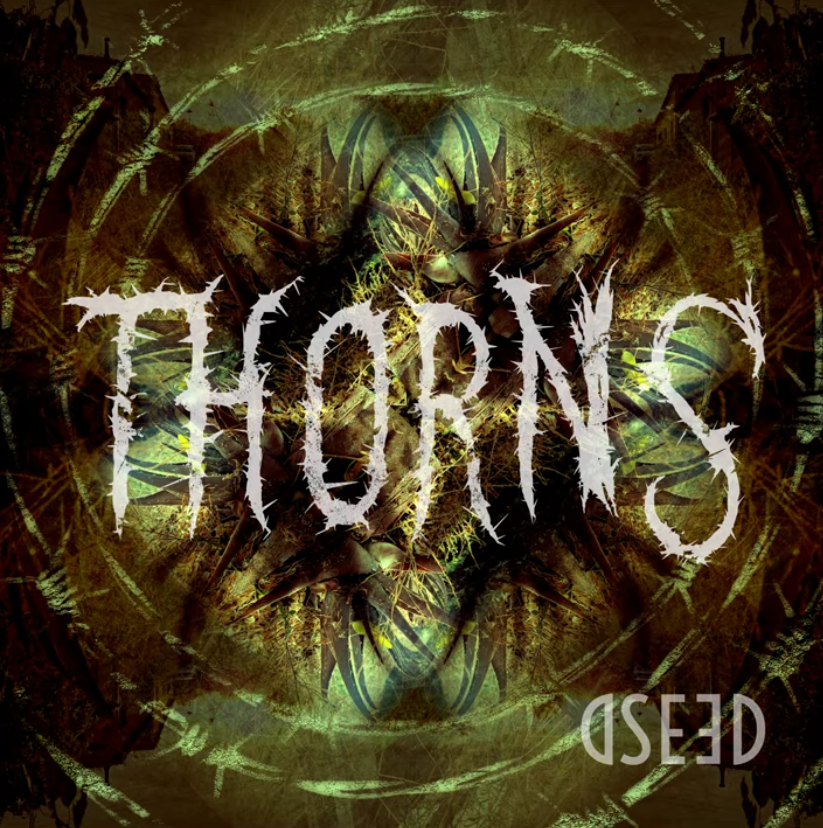 Dseed, banda de Rock de Madrid